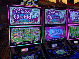slot raja Android app installation screen showing account login on mobile device